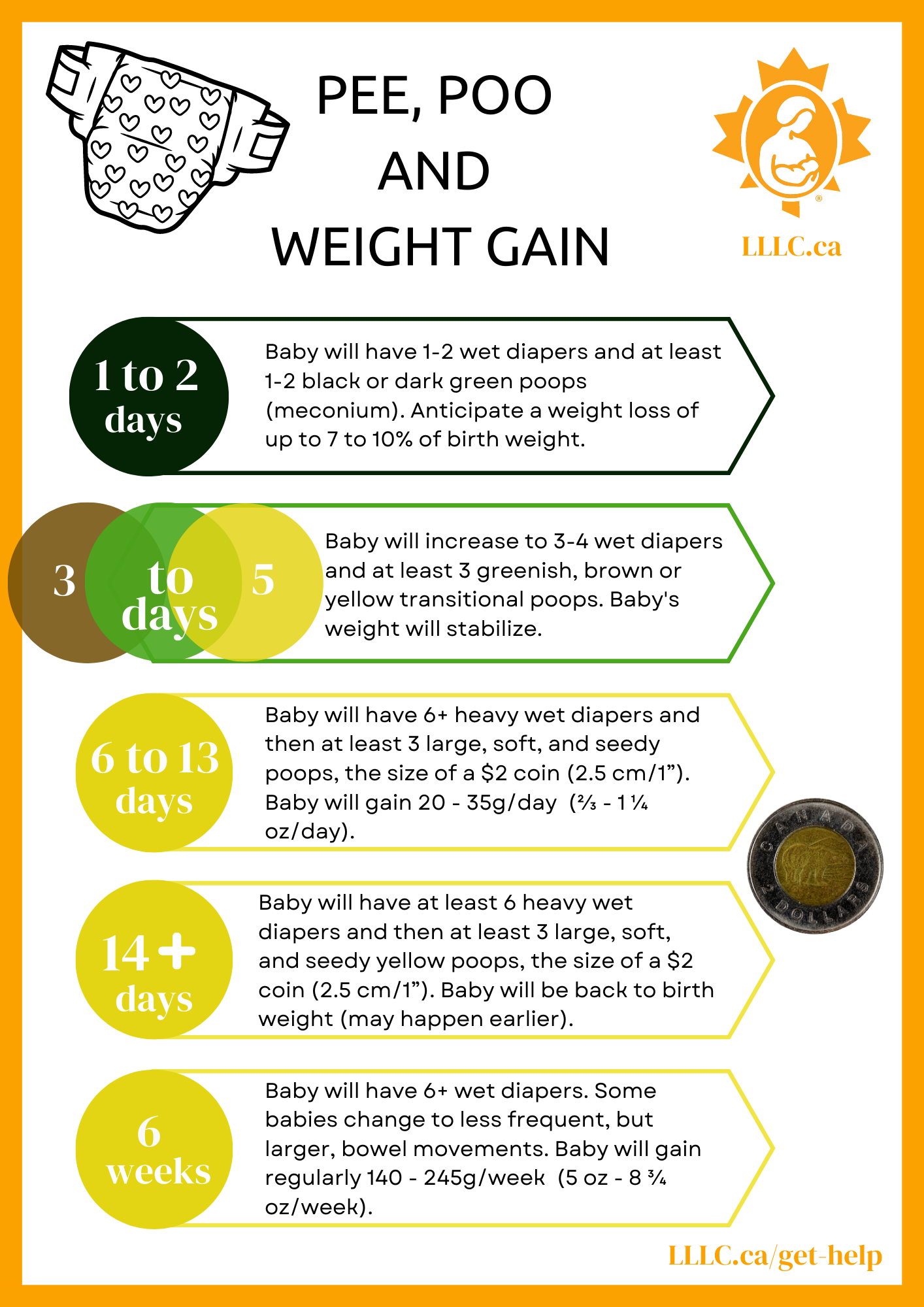 Normal Baby Stool   Pee Poo And Weight Gain(1) 